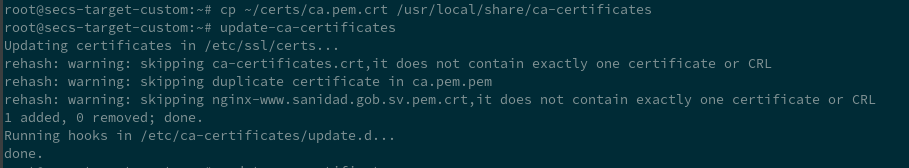 Agregando certificado CA en Debian 11+