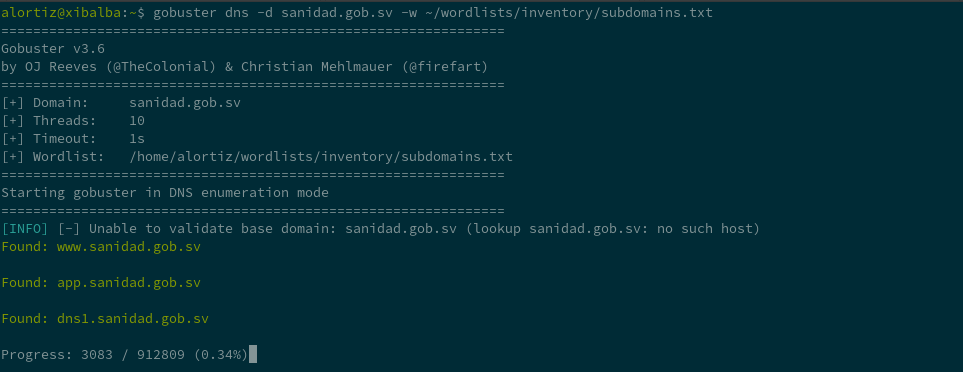 gobuster dns